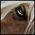 :iconsponge-studios: