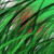 :iconSpoodle-X:
