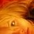 :iconspooksydaisy: