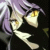 :iconspooky80: