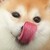 :iconspookyalpaca:
