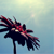 :iconspookywormy: