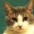 :iconspoonflipper: