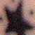 :iconspoongirltrinity: