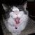 :iconspop4good: