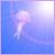 :iconsporkofgenius: