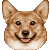 :iconsporkyspork: