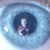 :iconsportin-life: