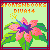 :iconsportsnbooksdiva14: