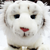 :iconsportstar104: