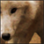 :iconspothunter: