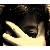 :iconspotshutter: