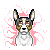 :iconspottedbird48: