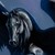 :iconspottedclaw123: