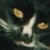 :iconspottedfur101:
