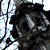 :iconspottedshadow-sr: