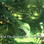 :iconspottedshadow13: