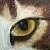 :iconspottedxleopard: