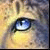 :iconspottehofshadows: