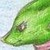:iconspotty-dawg: