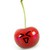 :iconsppottedleaf: