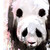 :iconspratsanime:
