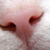 :iconsprayforhair: