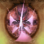 :iconspreadnerdlove: