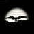 :iconspreadurwingsnfly: