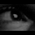 :iconspreck: