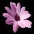 :iconspree5326: