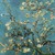 :iconspring-cleaning-time: