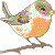 :iconspringbirdy: