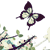 :iconspringdreamer: