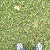 :iconspringkools: