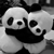 :iconspringowl: