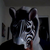 :iconspringrollmang: