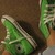 :iconsprinklesschmake: