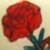 :iconsprinter4562: