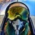 spsmith22 :iconspsmith22: