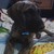 :iconsputter-jinglz: