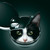 :iconspydeyboy87:
