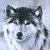 :iconSpyridon08: