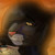:iconspyrofan1213: