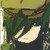 :iconsqenxluvr: