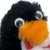 :iconsquallace: