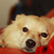 squallen7 :iconsquallen7: