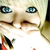 :iconsquarearts: