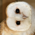 squeakbotmagicnesss :iconsqueakbotmagicnesss: