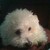 :iconsqueaker1967: